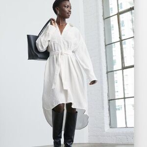 🆕 EVERLANE The City Stripe Draped Shirt Dress